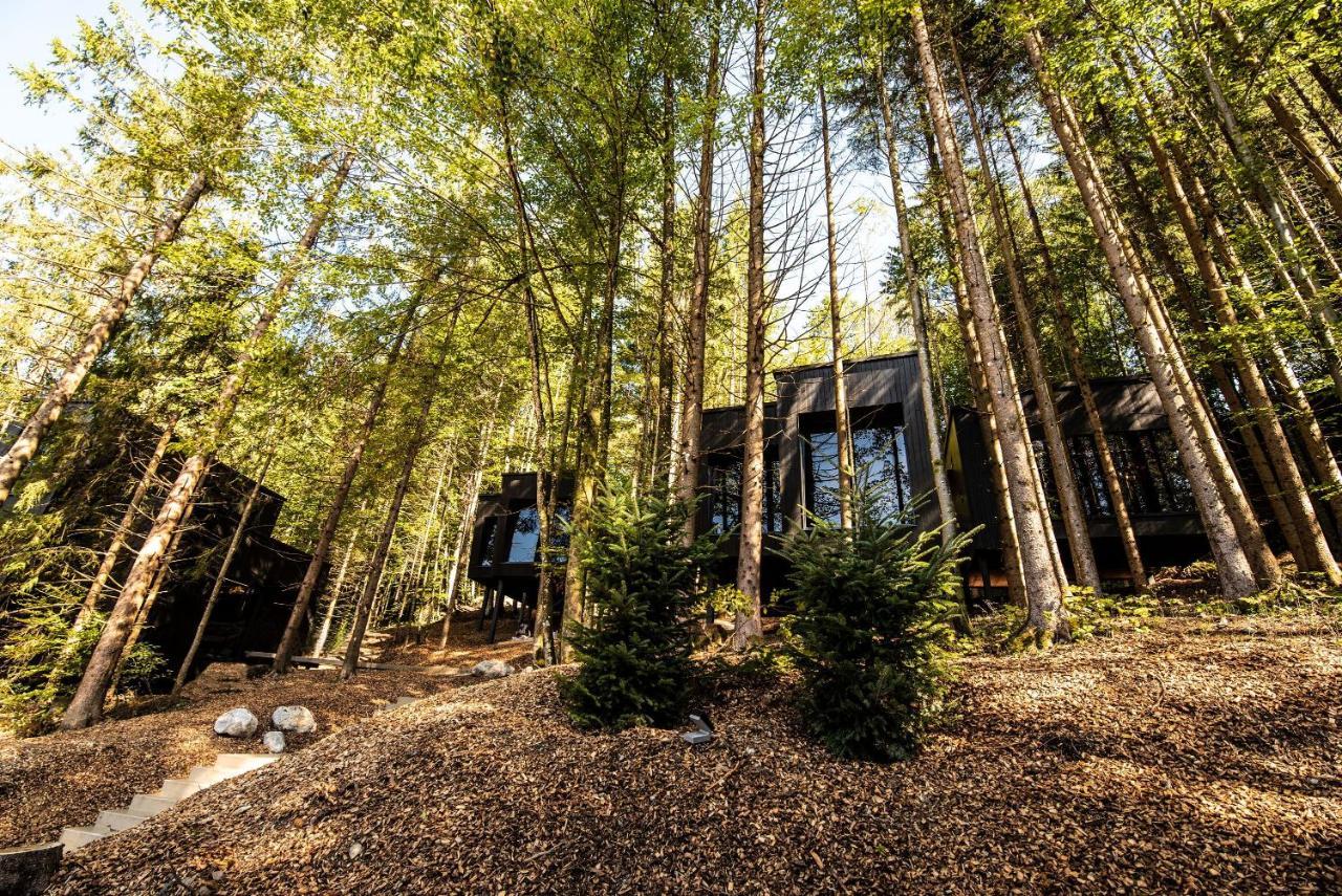 Hotel Fischerwirt Natur Waldspa Faistenau Zewnętrze zdjęcie