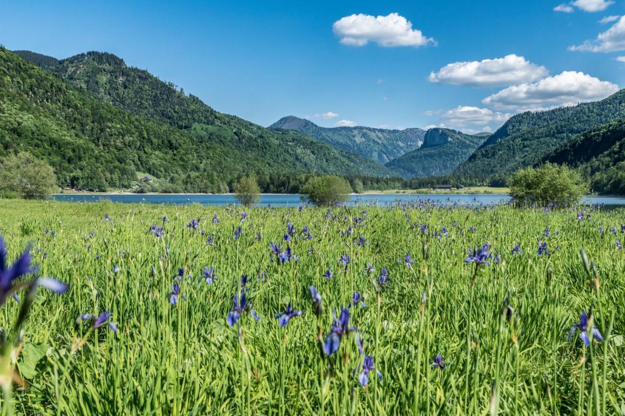 Hotel Fischerwirt Natur Waldspa Faistenau Zewnętrze zdjęcie