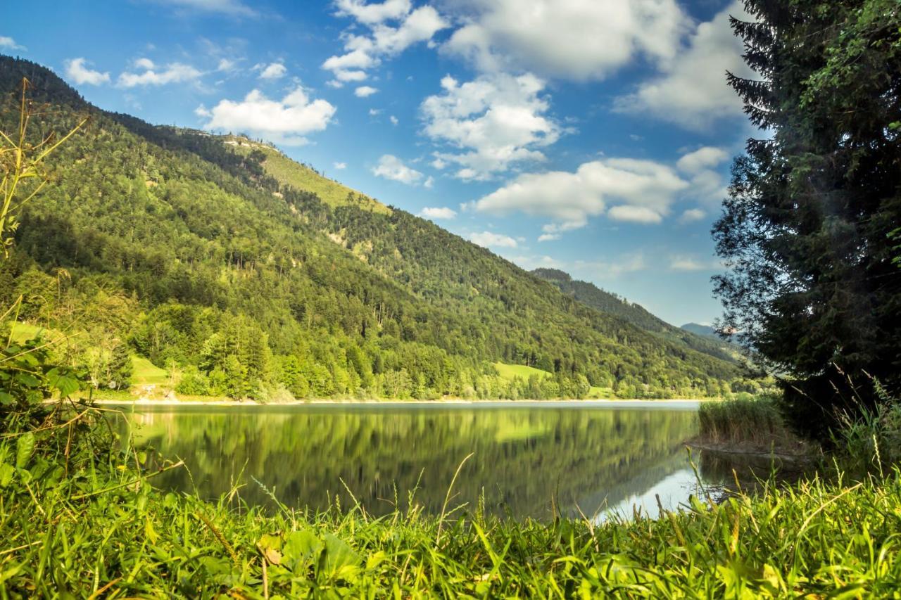 Hotel Fischerwirt Natur Waldspa Faistenau Zewnętrze zdjęcie